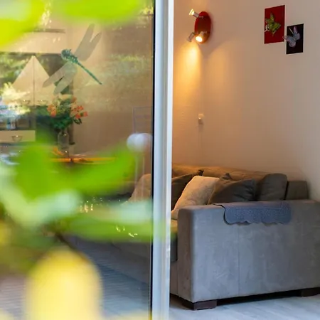 Avec Jardinet Dans Résidence Avec Piscine Appartement Sanary-sur-Mer