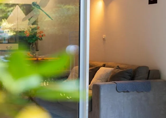 Avec Jardinet Dans Avec Piscine Daire Sanary-sur-Mer